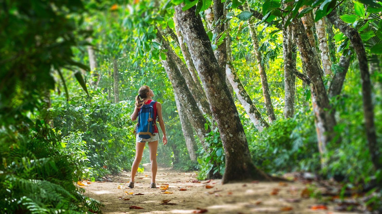 Young woman hiker stands in the tropical lush forest and looks at the tree