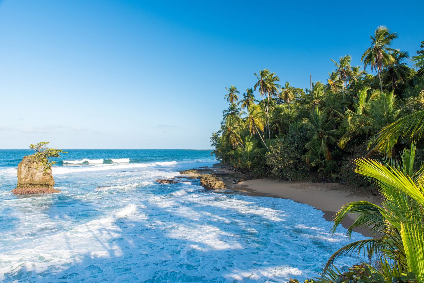 Wild Caribbean beach of Manzanillo at Puerto Viejo, Costa Rica