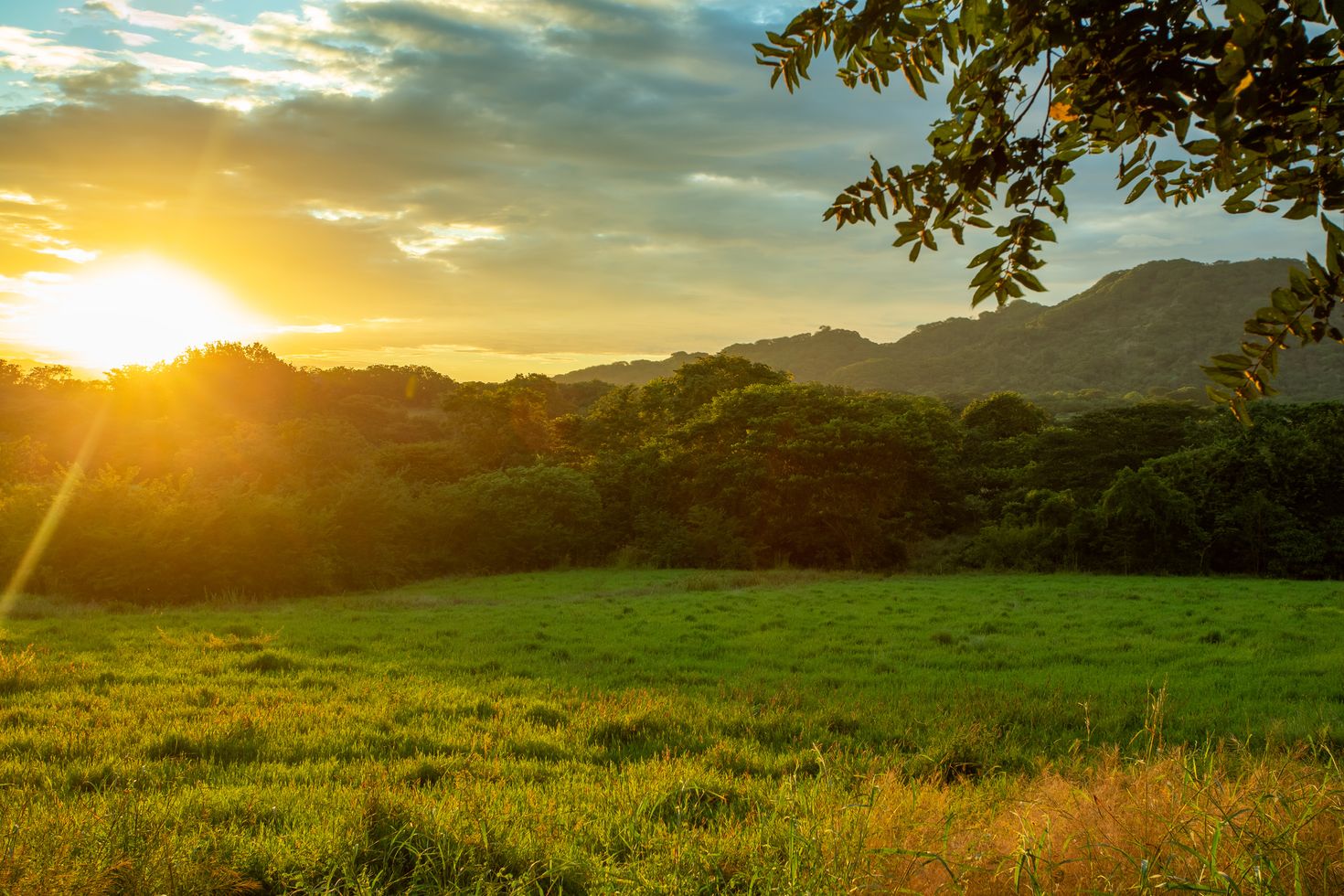 Evening view of the rainforest near Colorado, Costa Rica