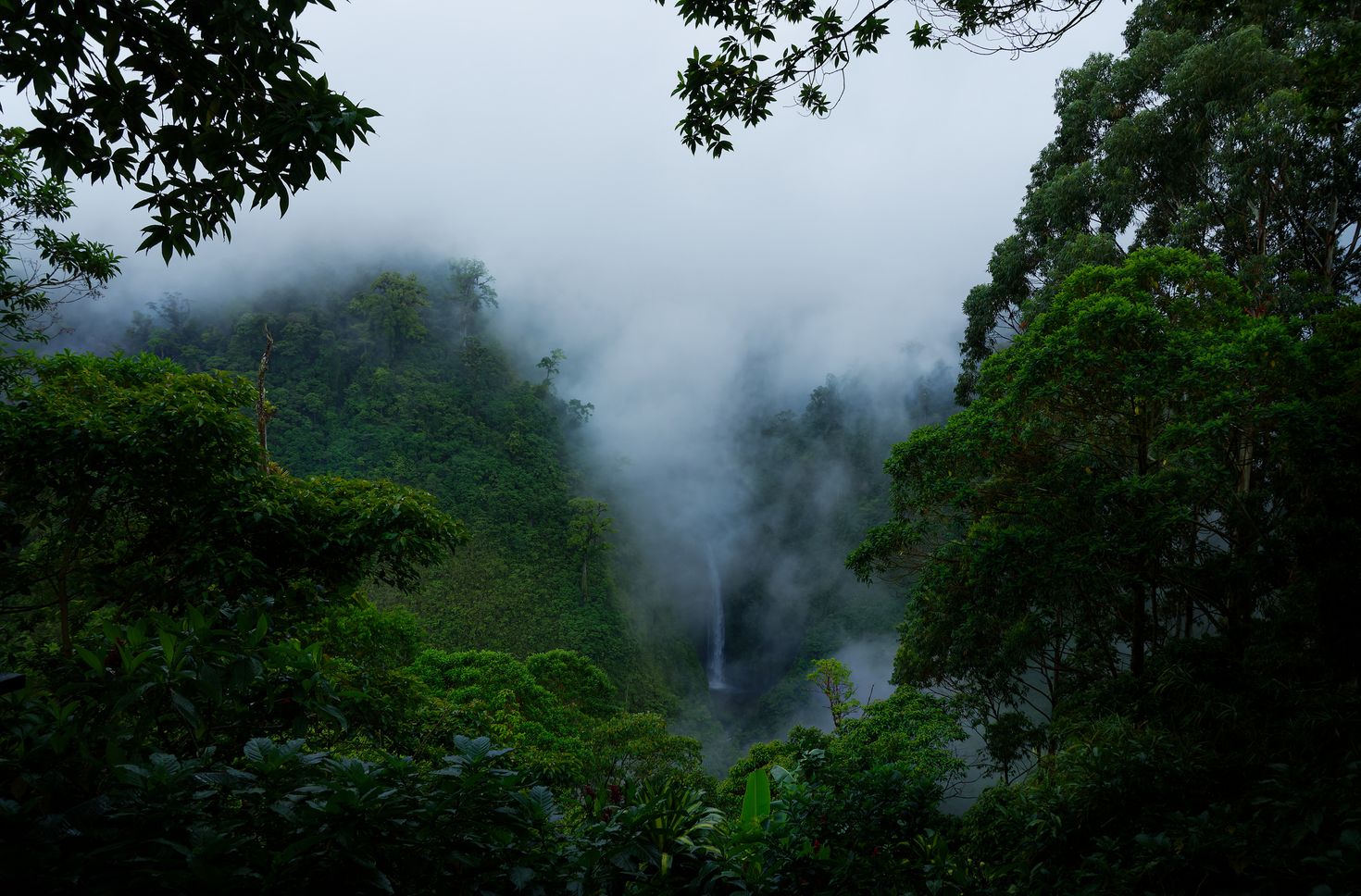 Costa Rica San Fernando Waterfall in the cloud forest