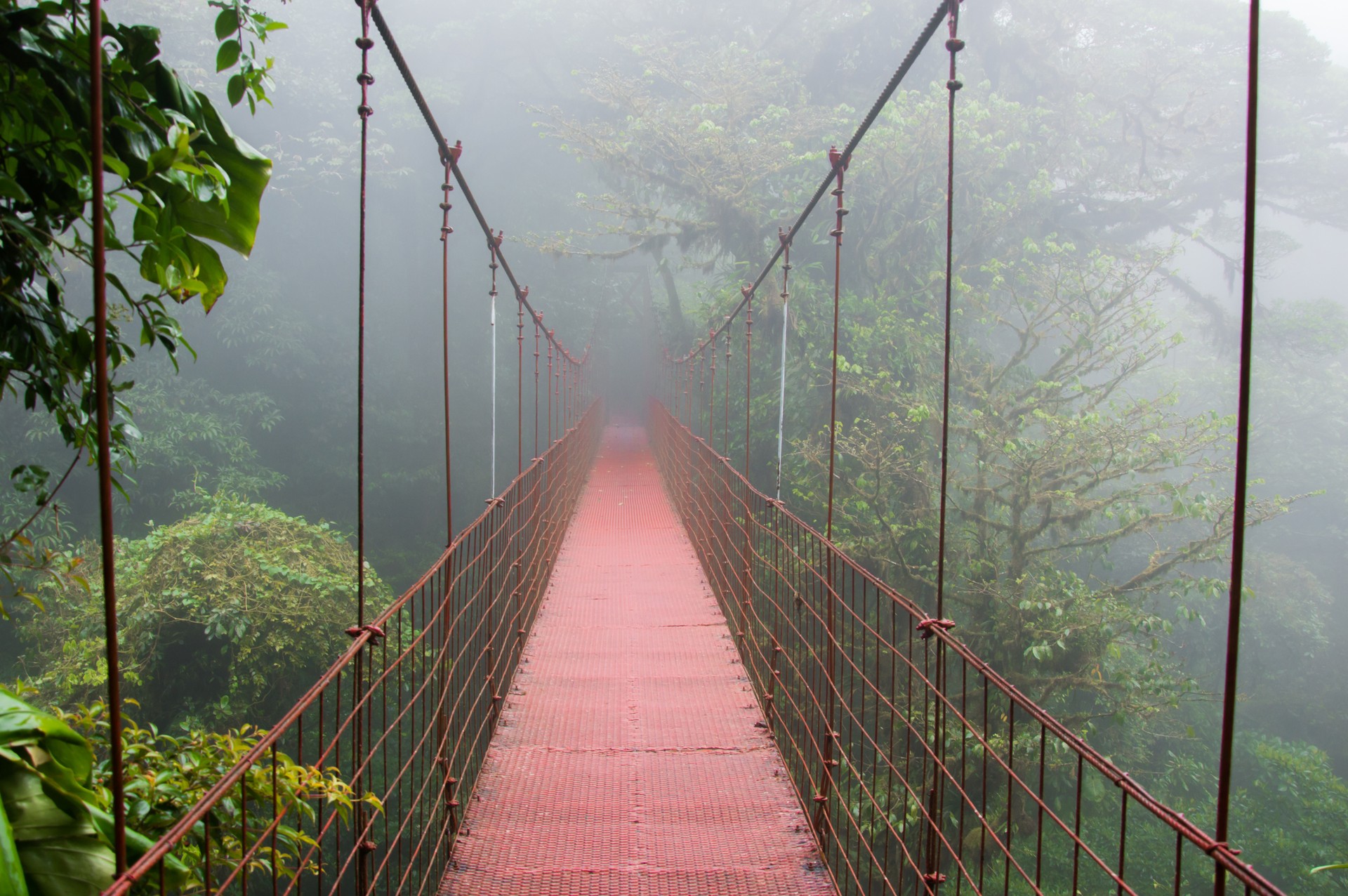 A hanging bridge in Manuel Antonio National Park during the rainy season in Costa Rica in September.
