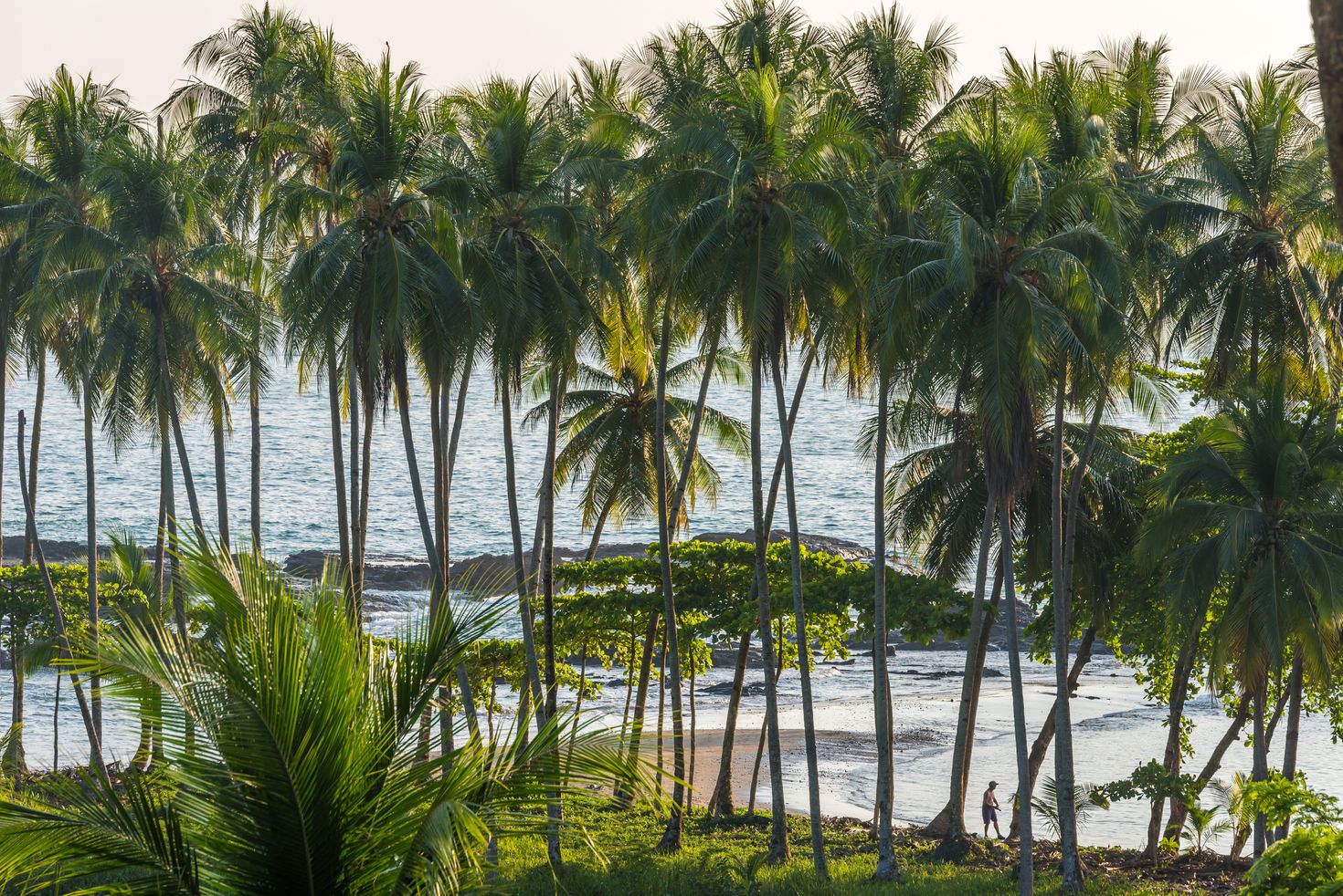 The view of Playa hermosa en Costa Rica - Pacific Coast