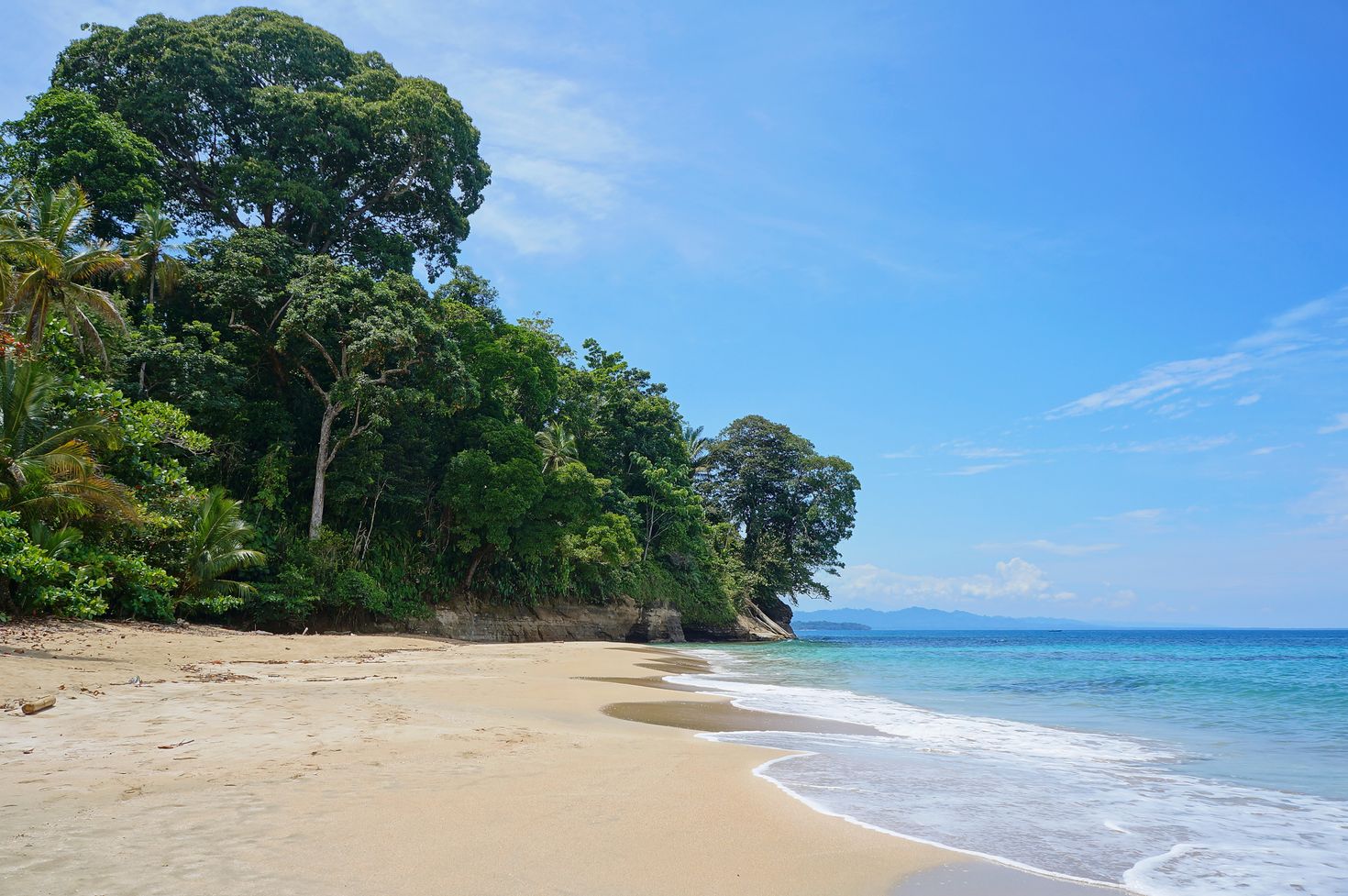 Costa Rica beach with lush vegetation on the Caribbean coast, Costa Rica