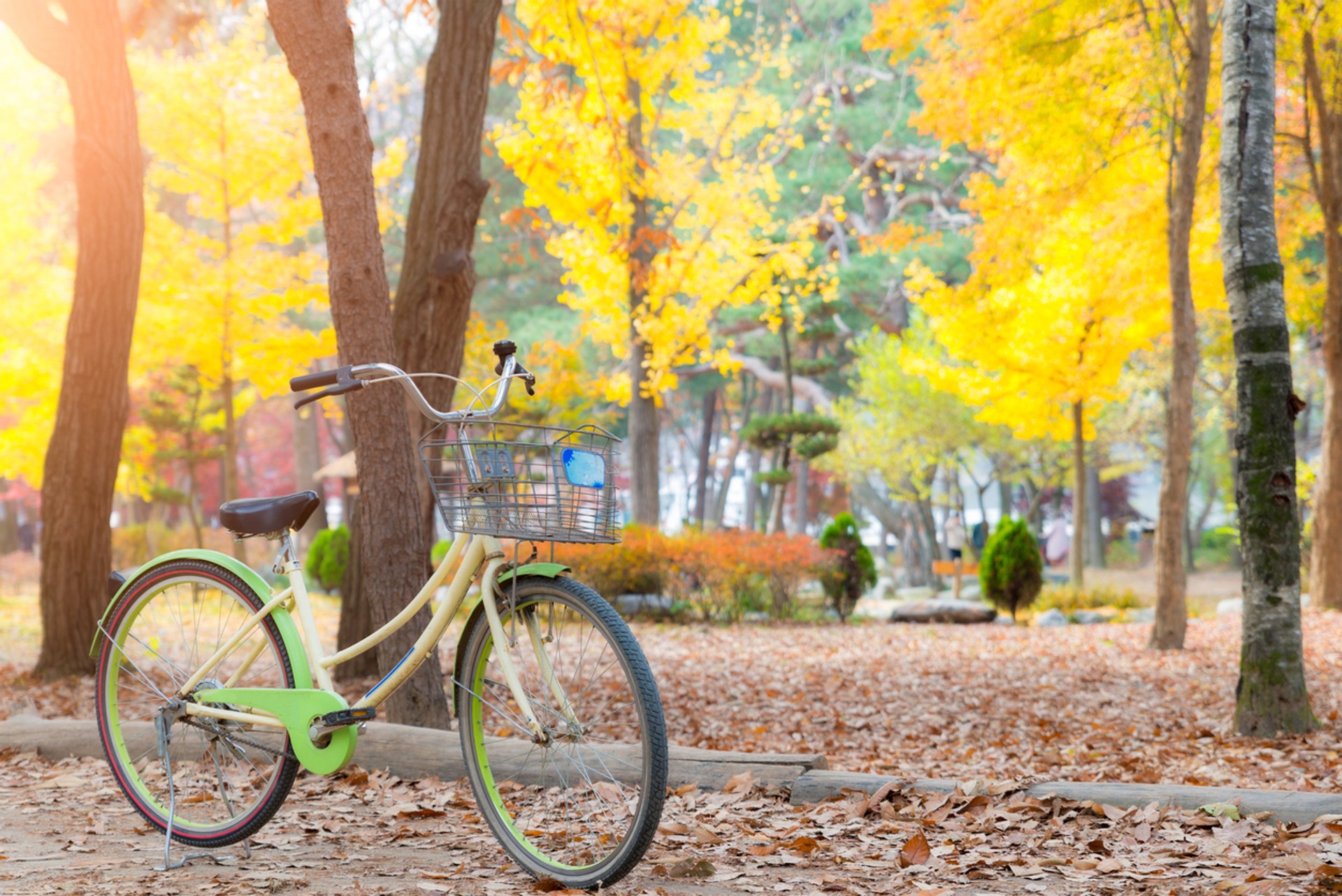 Cycling in South Korea can introduce you to many variety of trails