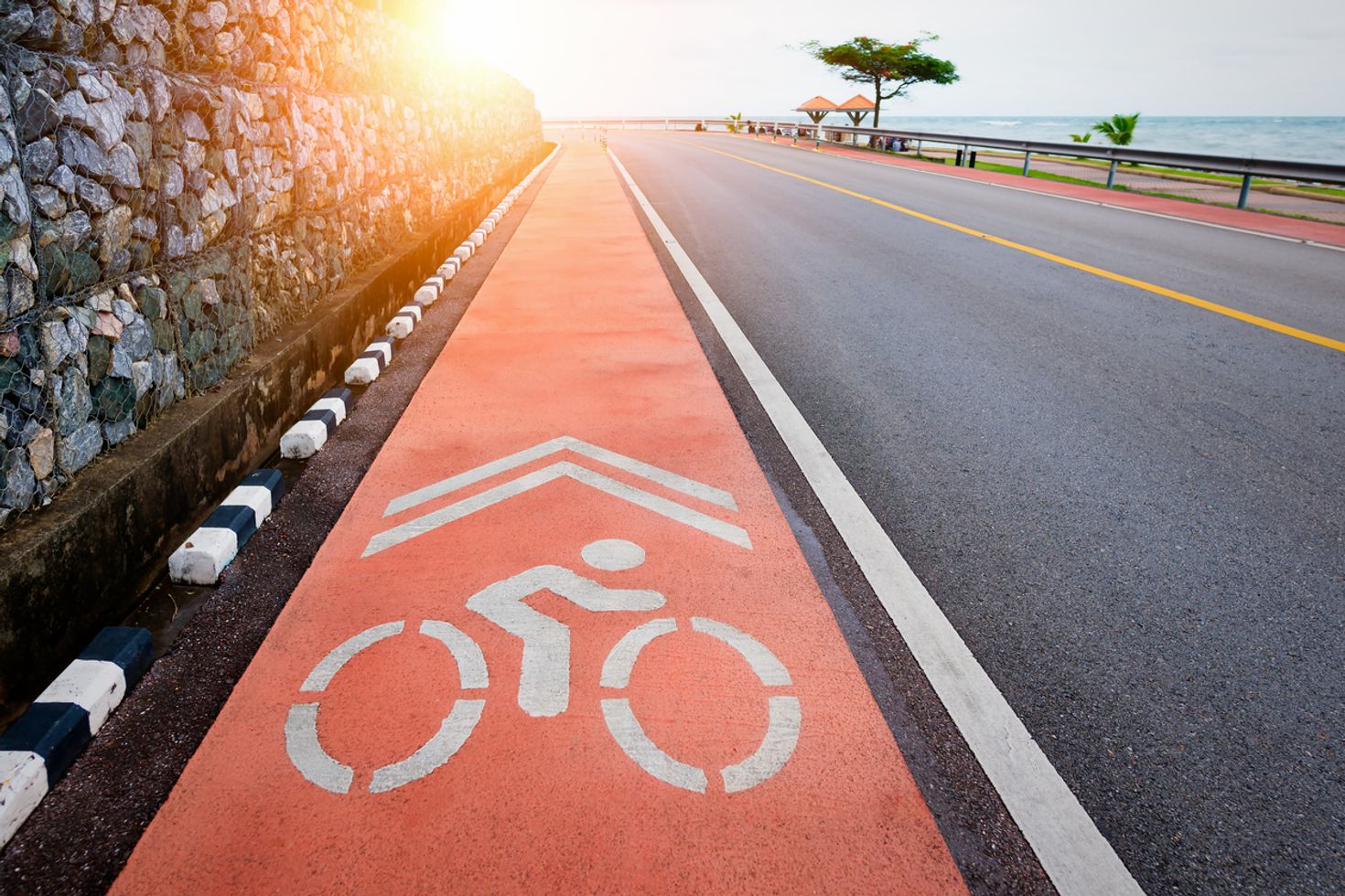Spring is the best time to go cycling in South Korea