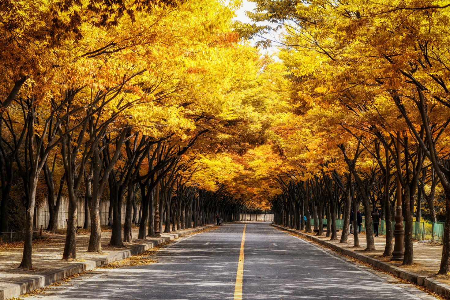 Incheon is the starting point for one of the best cycling trail in Korea