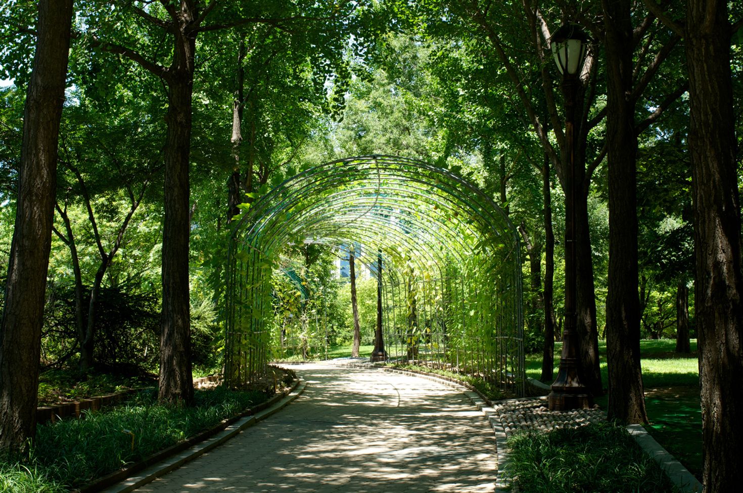 Yeouido Park is the starting location of a great cycling trails in Korea