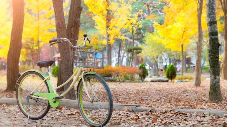 Cycling in South Korea can introduce you to many variety of trails