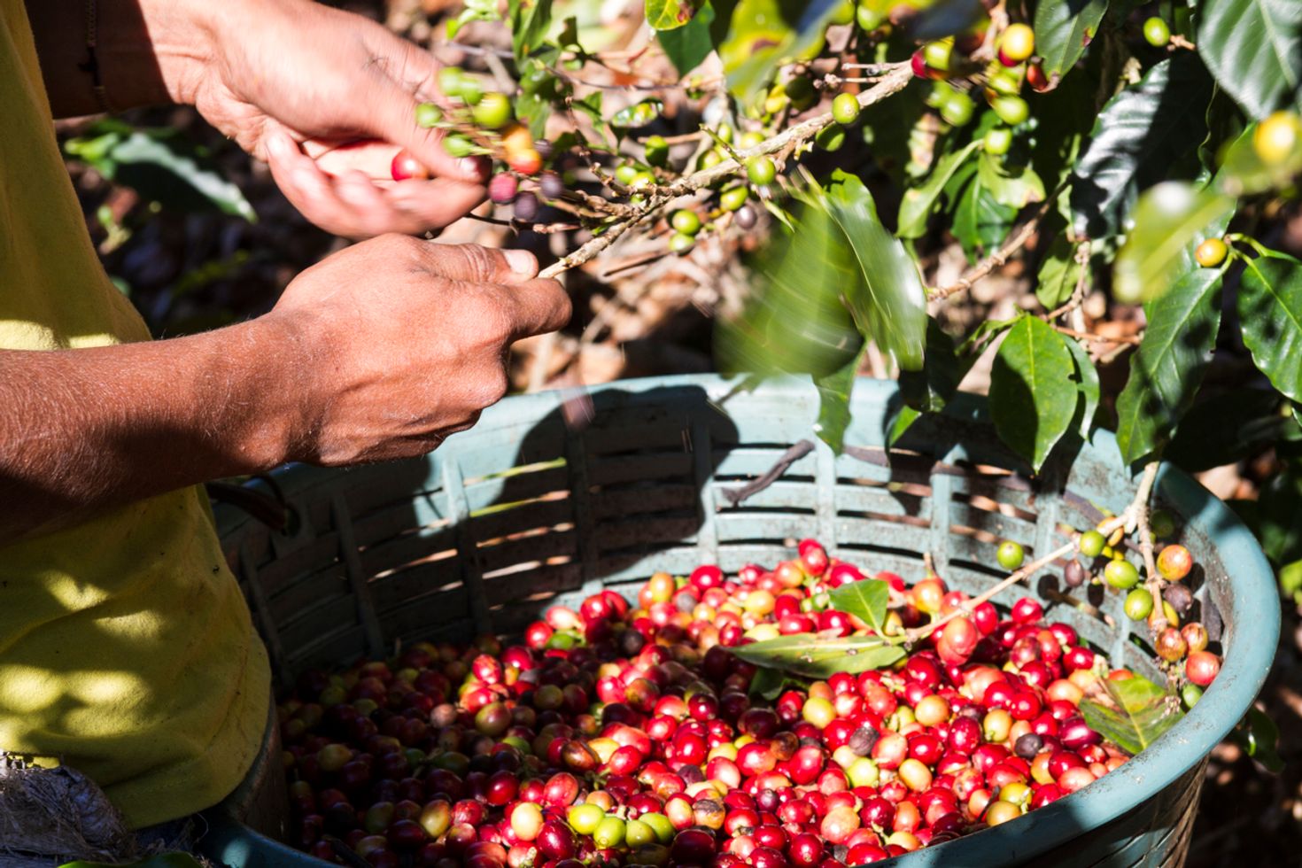 Day trips from San Jose Costa Rica Heredia