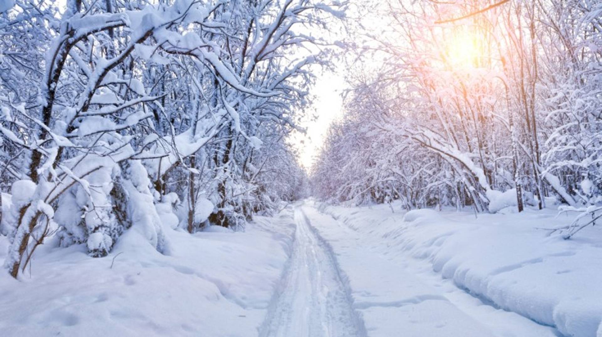 Denmark in February: Weather, Festivals and More!