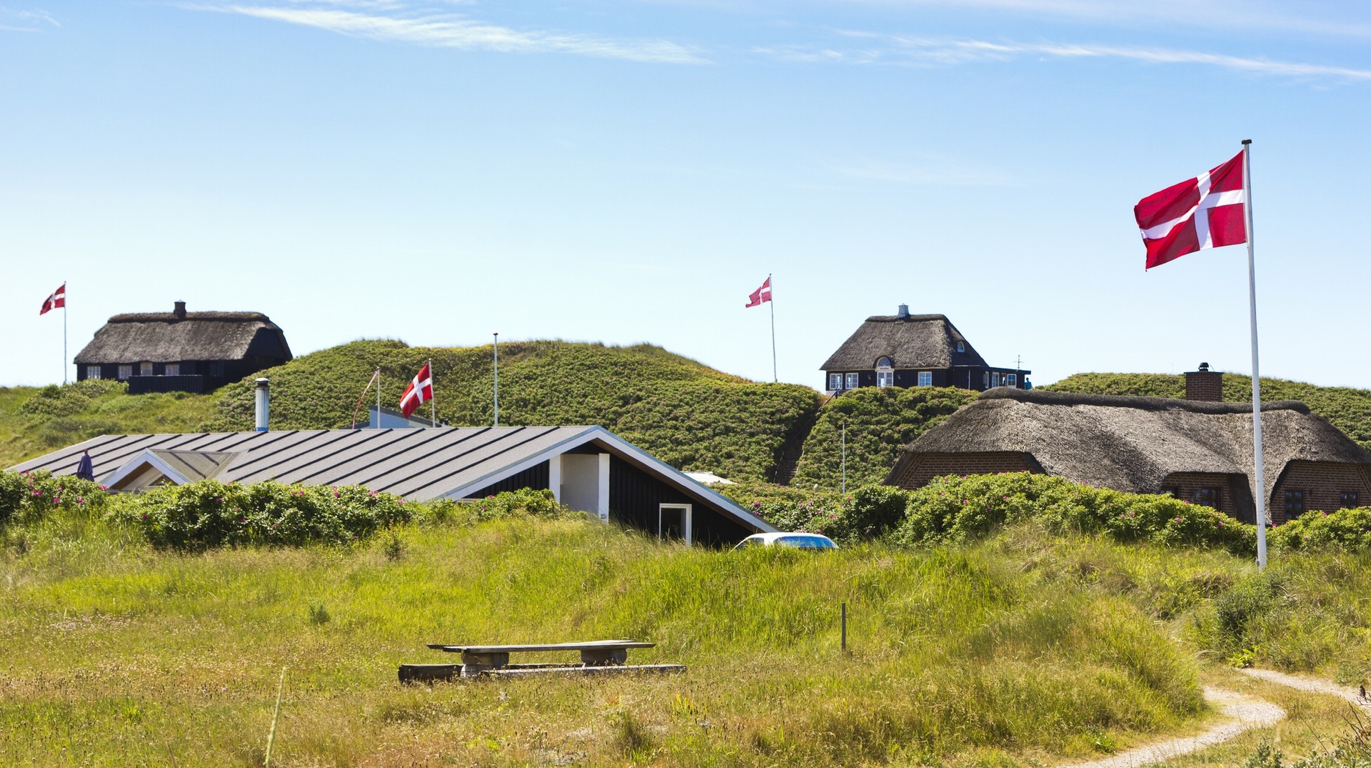 Summerhouses at the western Jutland of Denmark in June.