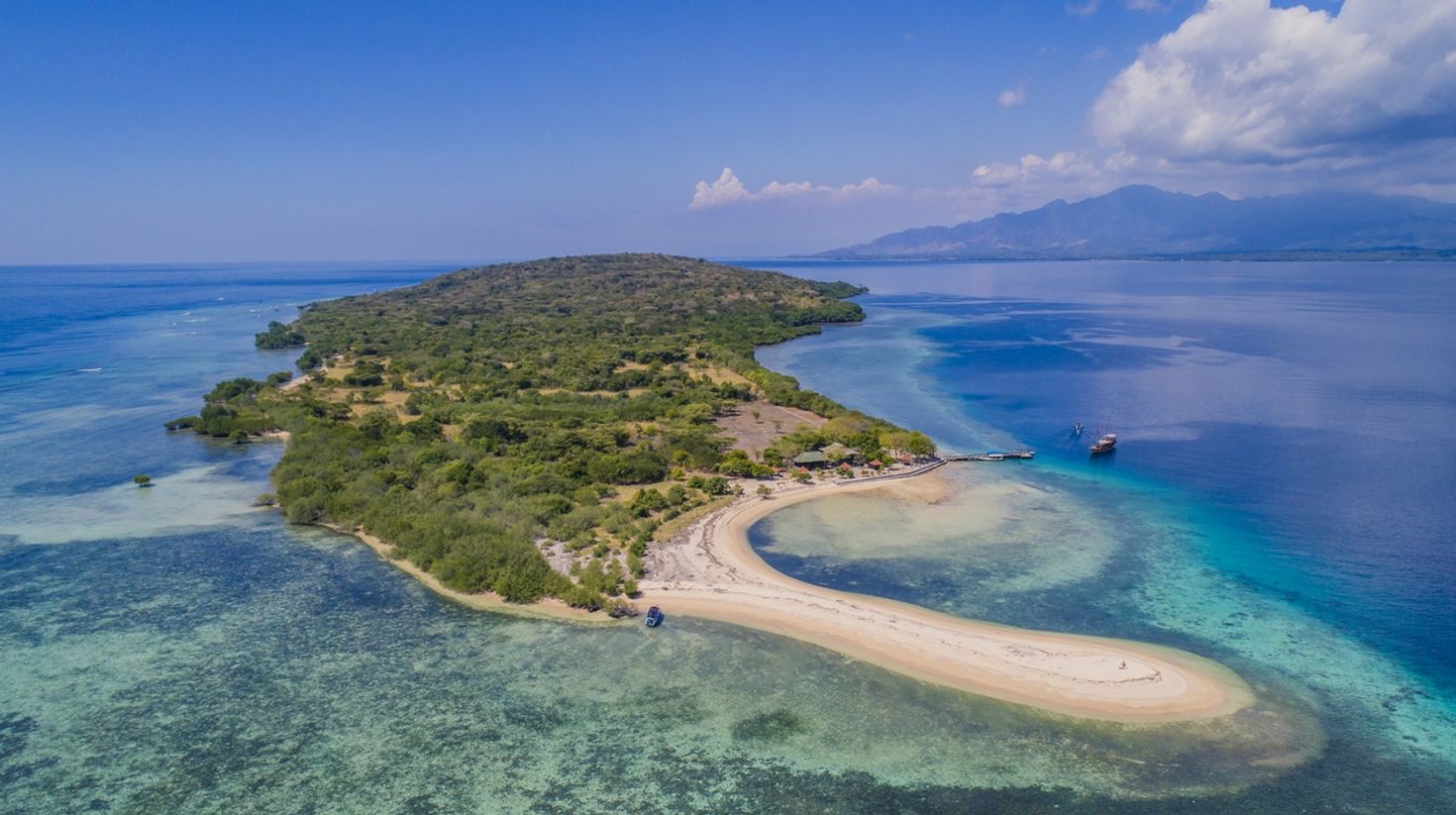 One of the best places to go diving in Bali is on Menjangan Island