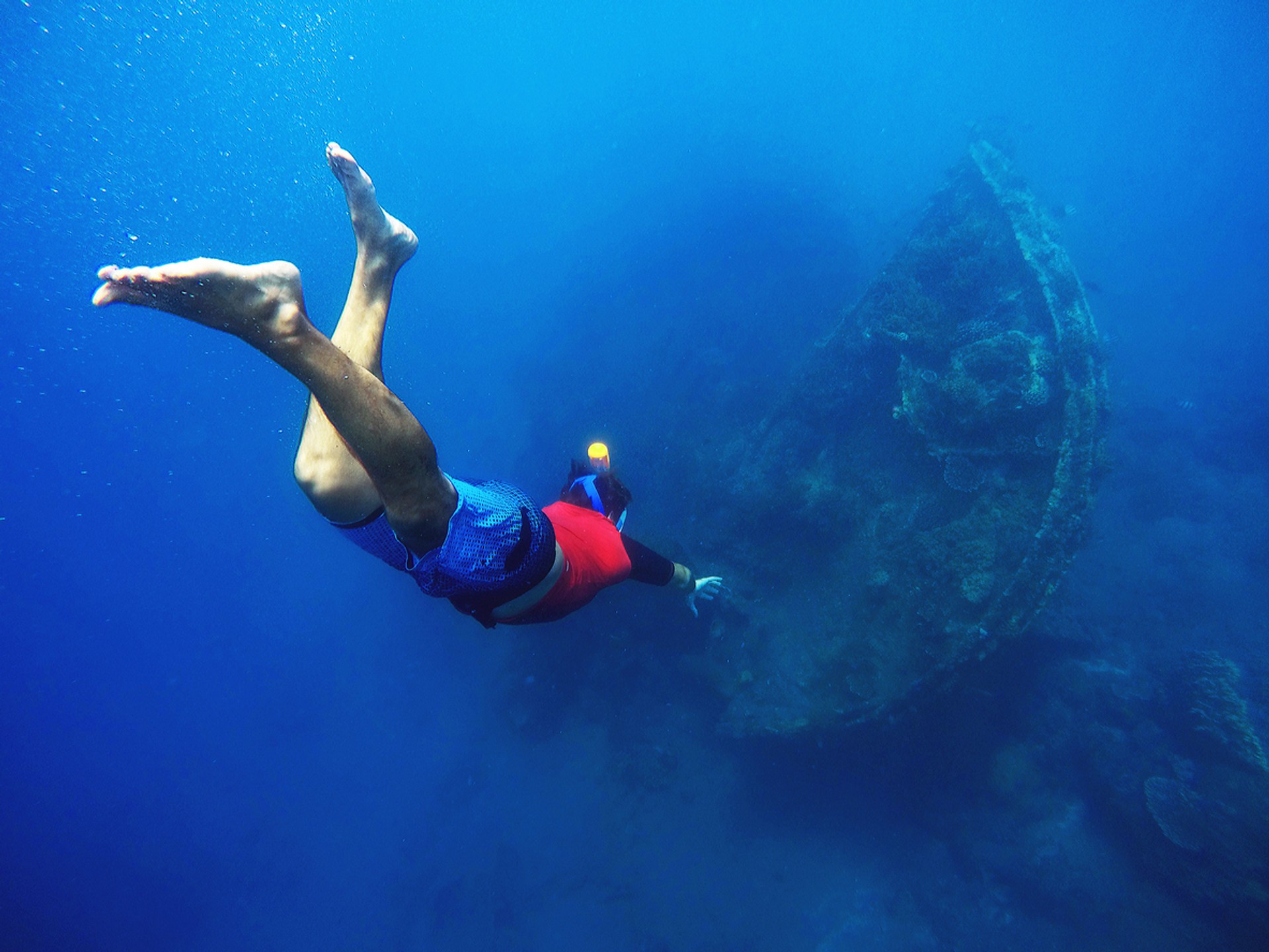 Whether its shipwrecks, marine life or exotic rock formations, you will find all kinds of spots to go diving in Indonesia. Diving in Indonesia is a fun activity that you cannot miss.