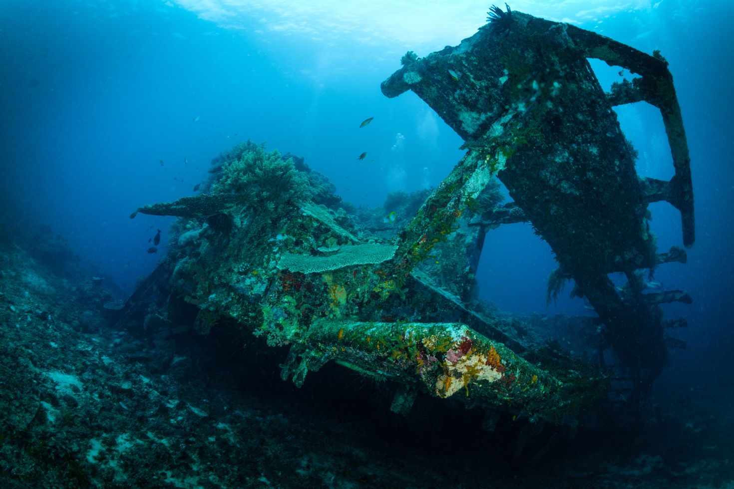 Bountry wreck in Lombok, diving in Indonesia