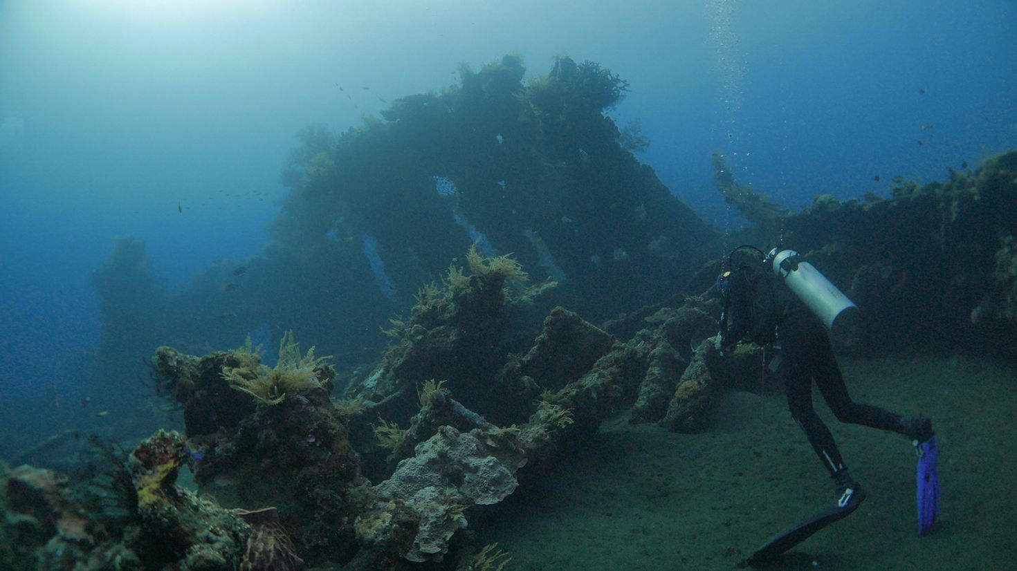 The Liberty Shipwreck is a unique spot to go diving in Bali