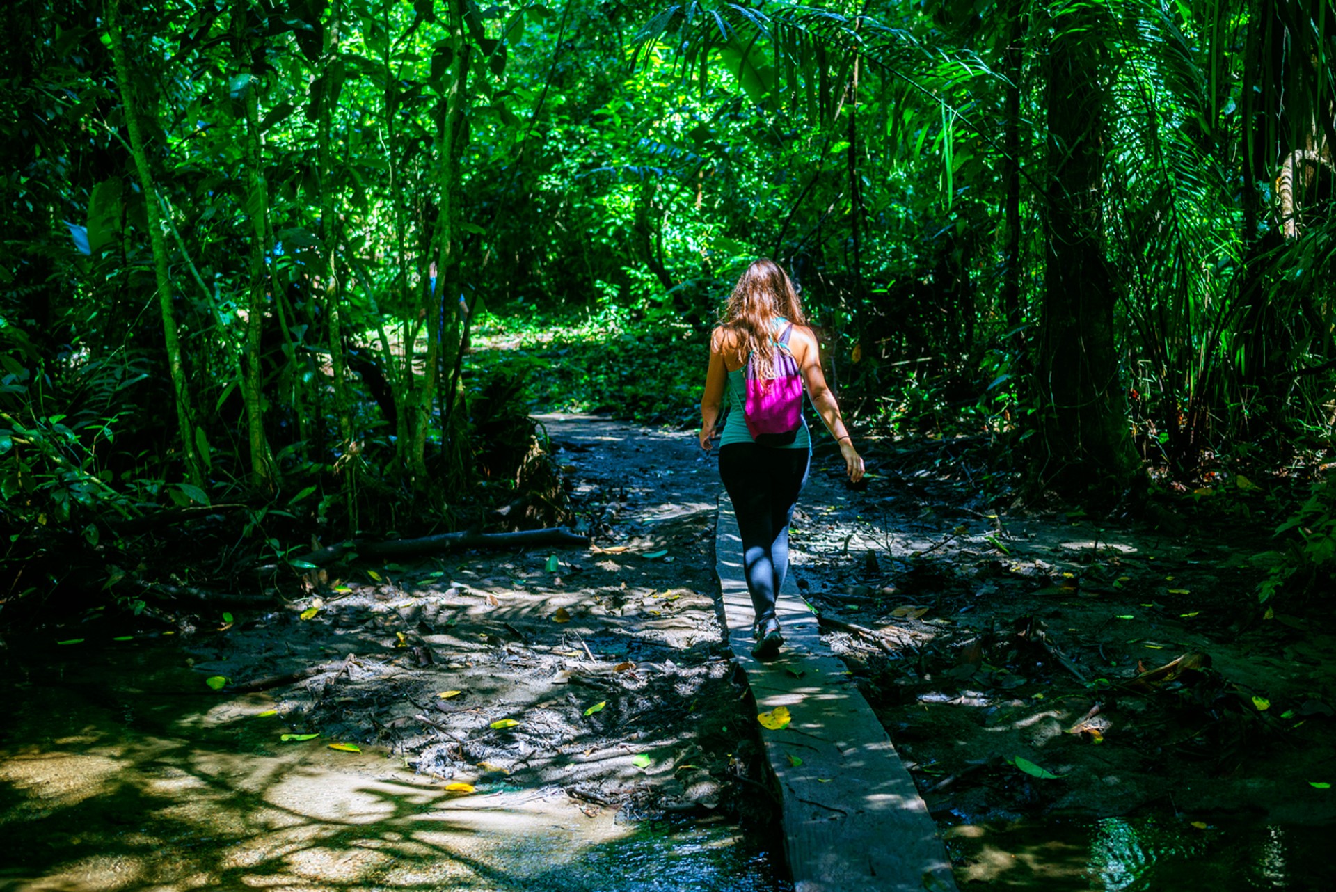 Thanks to its efforts in ecotourism in Costa Rica, it has become the ideal destination to experience sustainable tourism.
