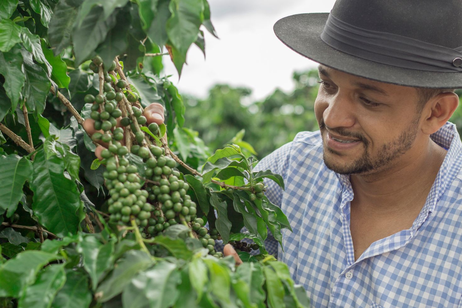 Eco tourism in Costa Rica coffee tour