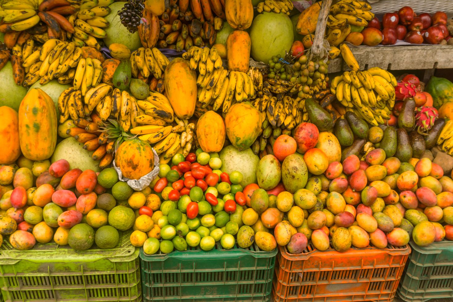 Eco tourism in Costa Rica fruits