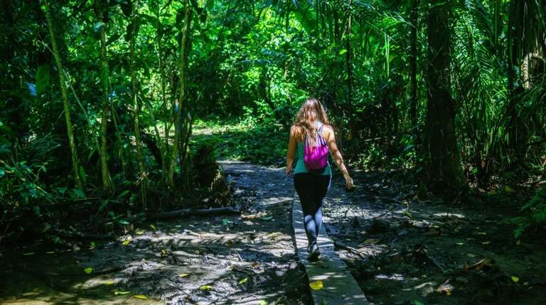 Thanks to its efforts in ecotourism in Costa Rica, it has become the ideal destination to experience sustainable tourism.