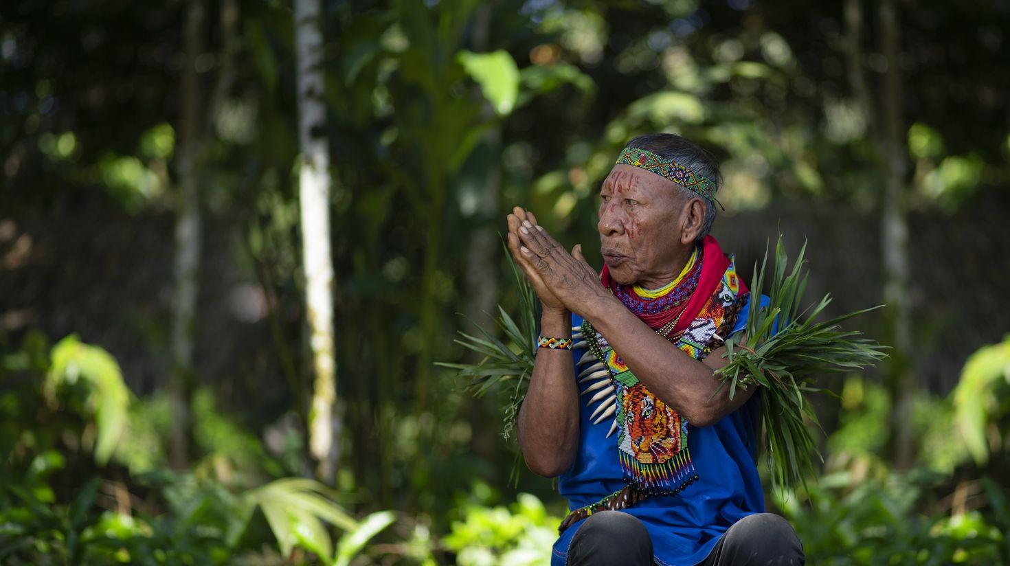 Talk to elderly indigenous shaman and learn about their culture.