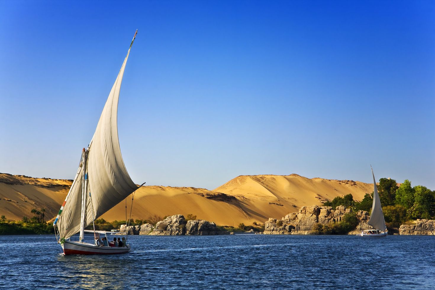 The Nile is the longest river in the world.