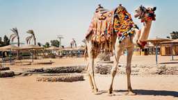 Egypt in 12 Days: 3 Recommended 12-day Itineraries to Egypt