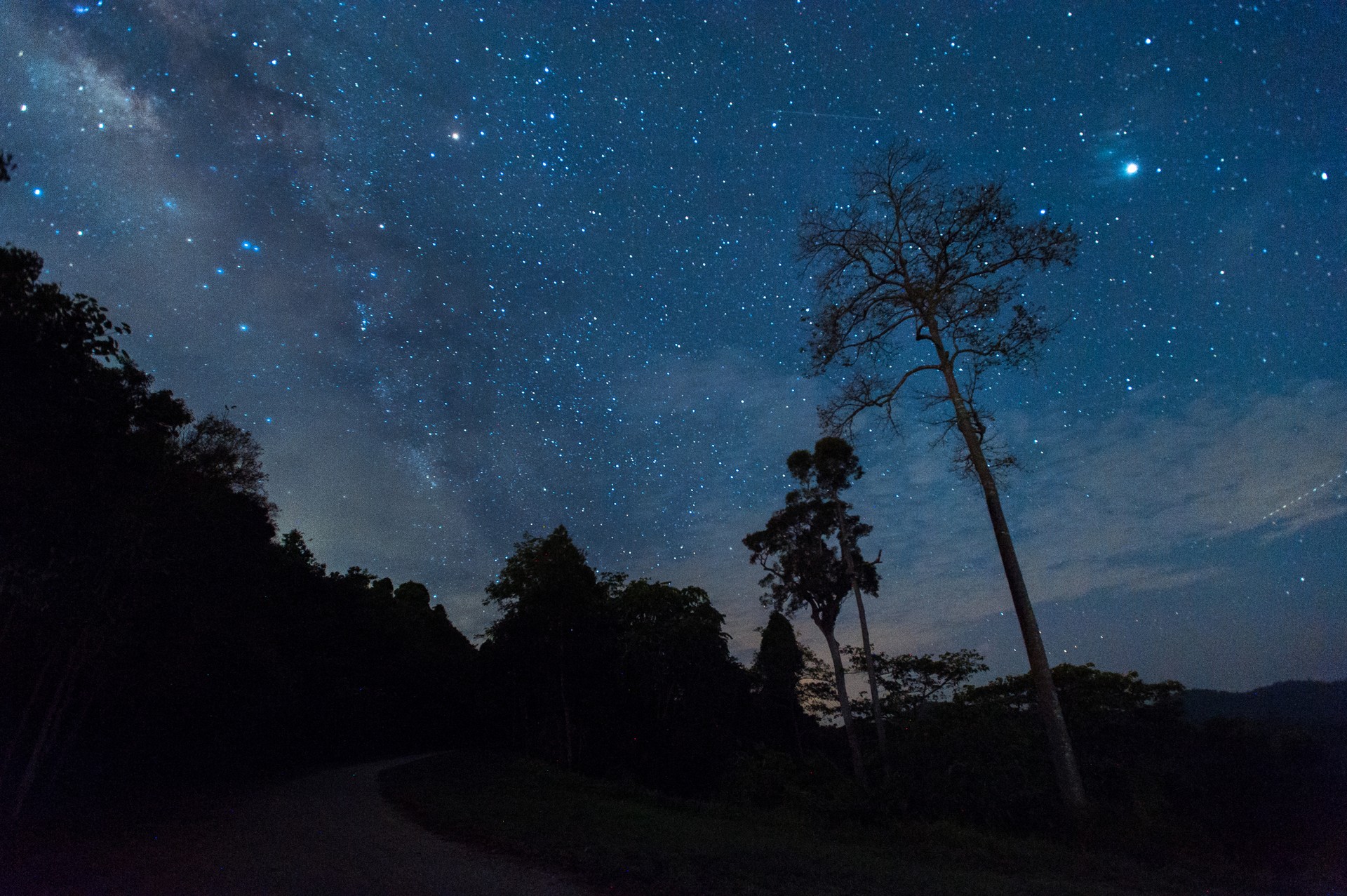 Elqui Valley offers amazing stargazing opportunities to its visitors Elqui Valley offers vineyard-covered hills and amazing stargazing opportunities making Elqui Valley tour a perfect holiday to relax and unwind.