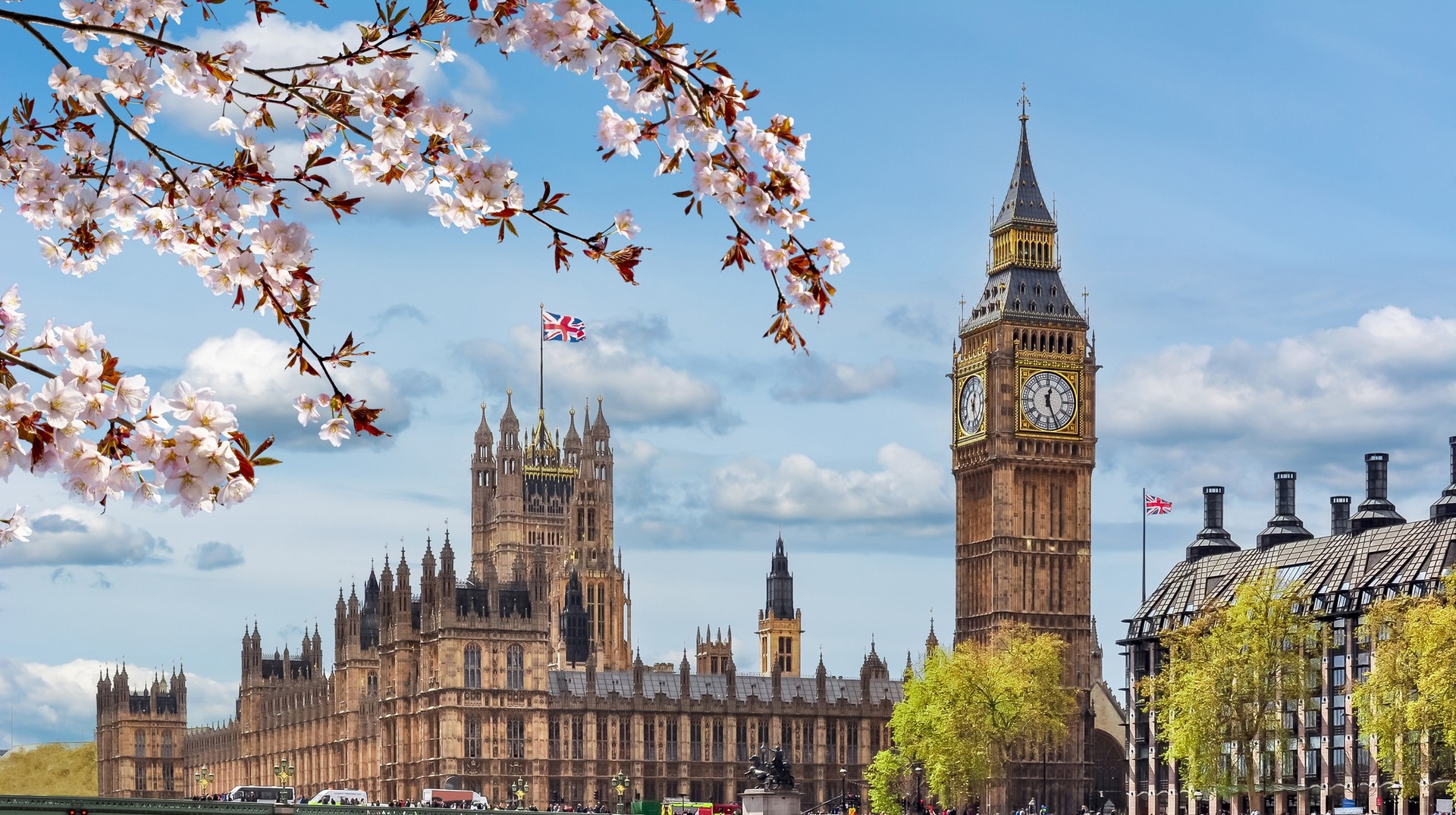 Highlight of England in March: spotting the iconic Big Ben amidst spring bloom. Spring blooms in Big Ben, as seen on a trip to England in March.