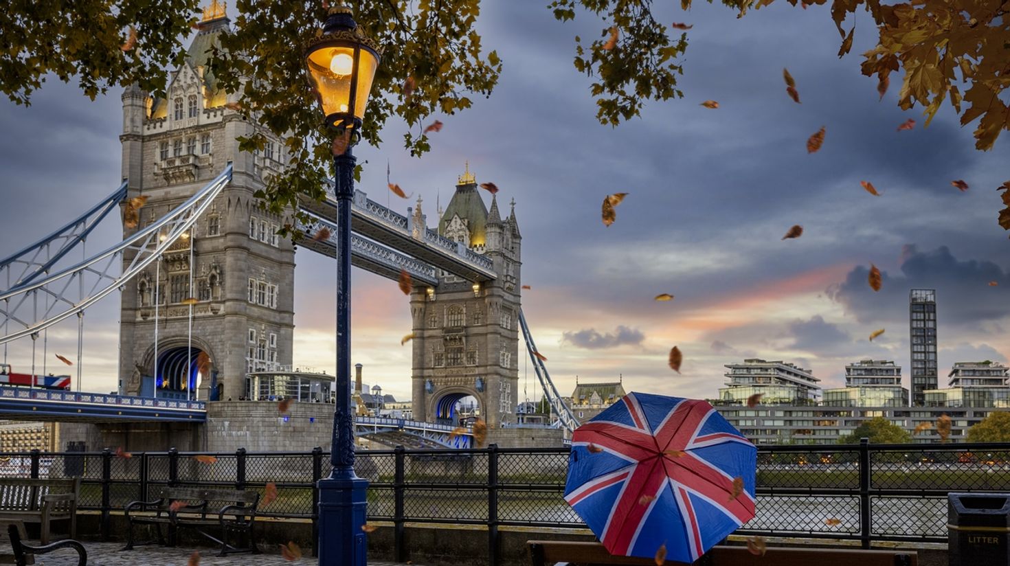 England in November experiences crispy air, and falling of the leaves
