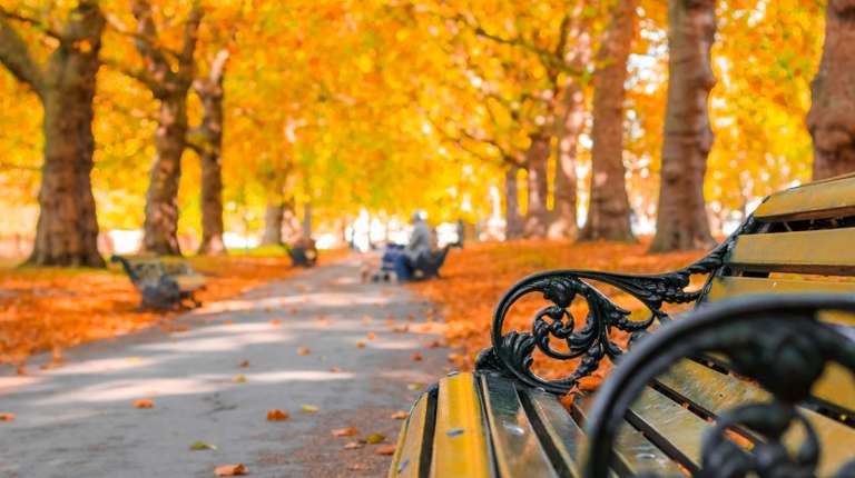 England in November: Weather, Tips & More