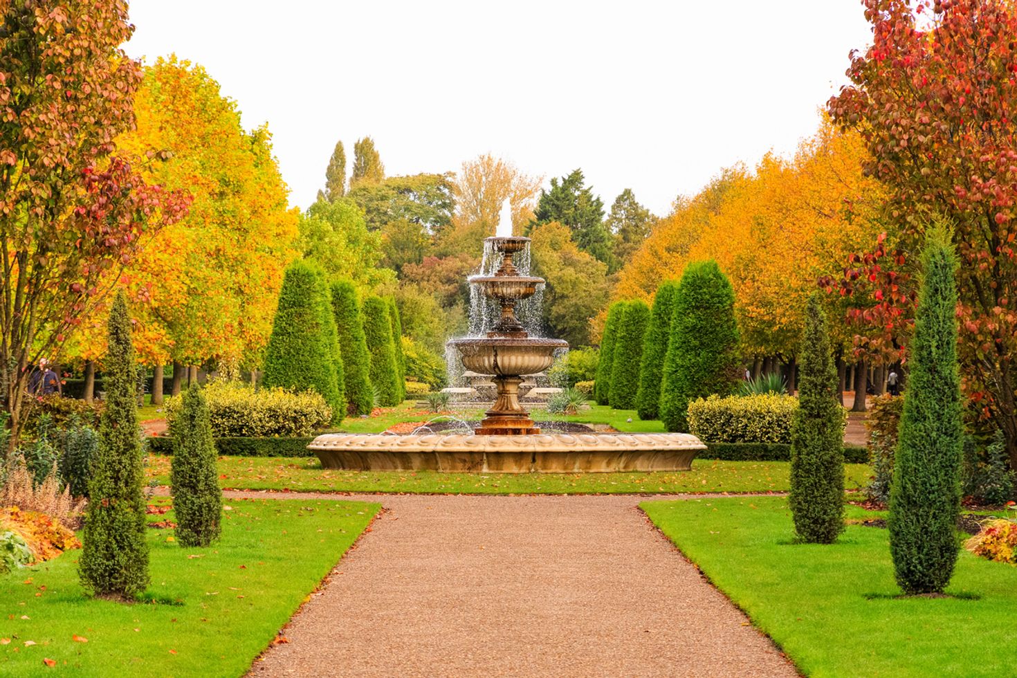 Regent&rsquo;s park in England covered with brown leaves during October.