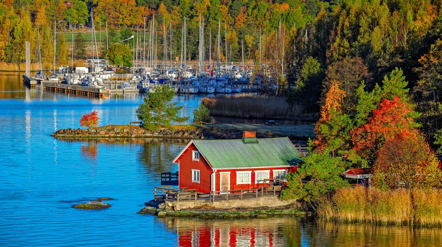 Ruissalo island adorned in the colors of autumn in Finland in August.