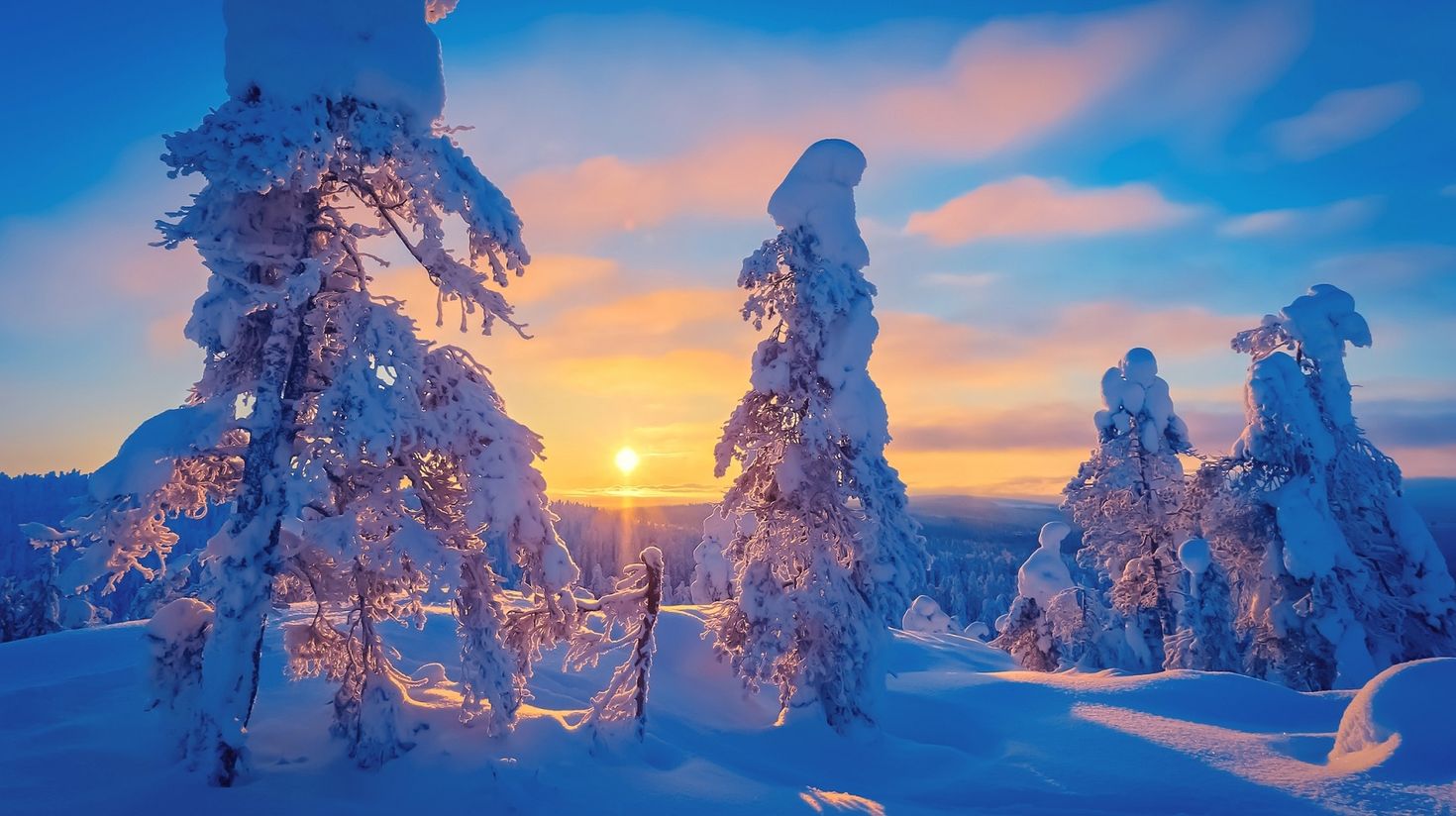 Cold winter day sunset landscape with snowy trees in Finland in February.