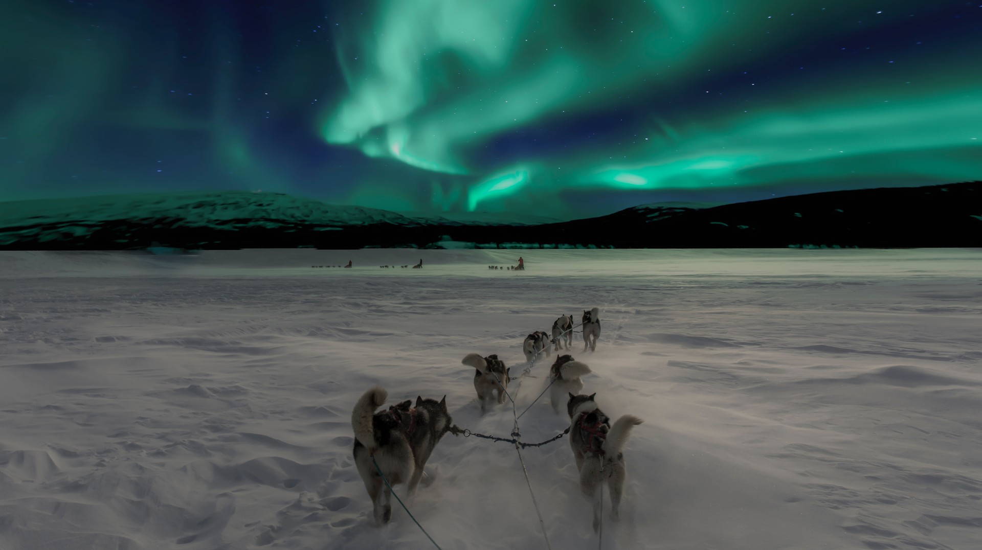 Finland offers a plethora of activities in January, from dog-sledding expeditions and steamy saunas to cold-water dips in the Arctic Ocean or Lapland Lakes. Traveling the snowy Lapland landscape in Finland in January.