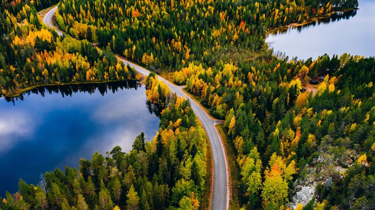 Autumn landscape in Finland in November.