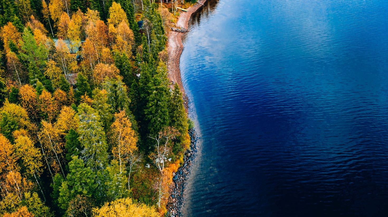 Autumn foliage by the blue lake in Finland in September.