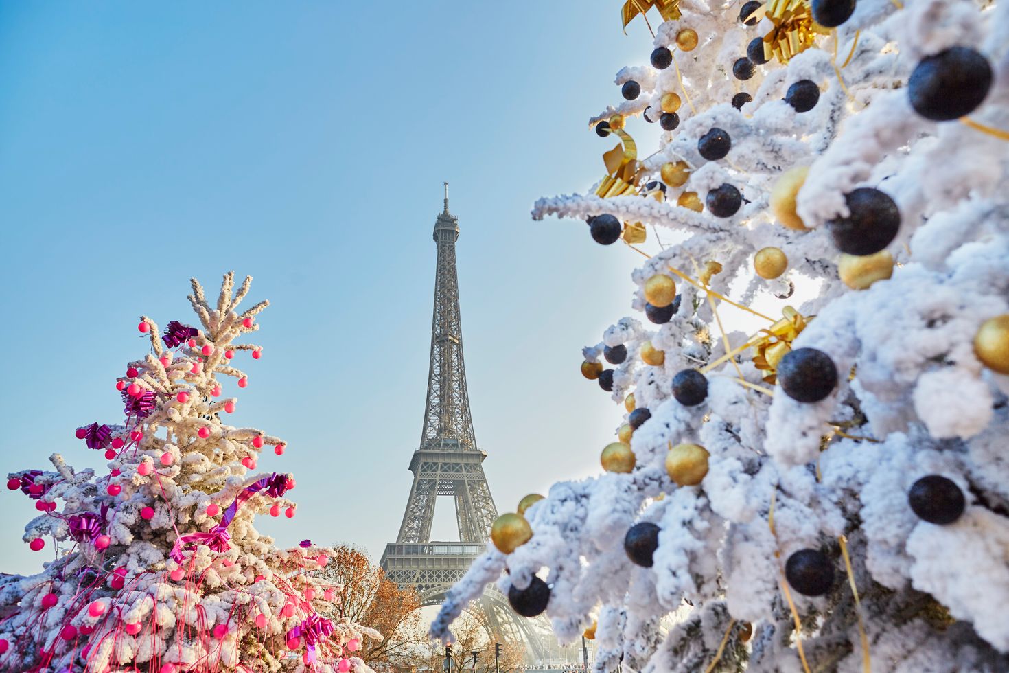 Decorated Christmas tree in Paris, France