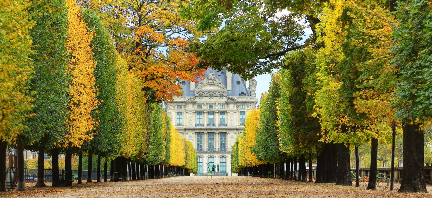 Avenue of trees in autumn leading to the Musee du Louvre in France in October.