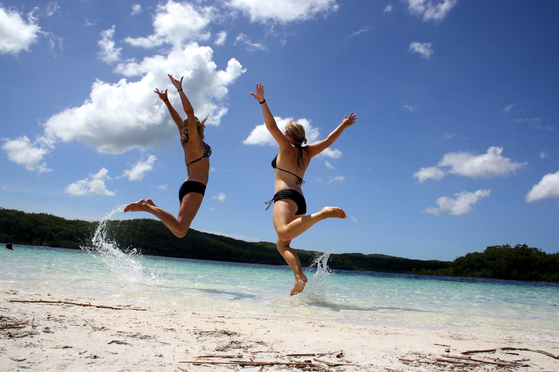 Go on a Fraser Island day tour and enjoy the best of what the beach has to offer.