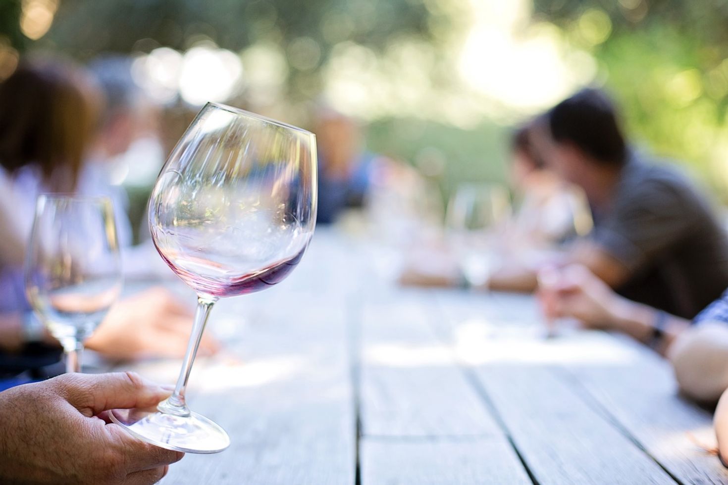 Wine Tasting in Garden Route National Park