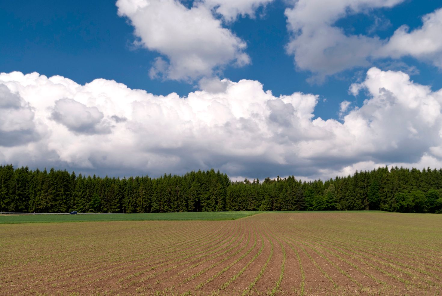 Goldsteig hiking trail offers some of the best scenes in Germany