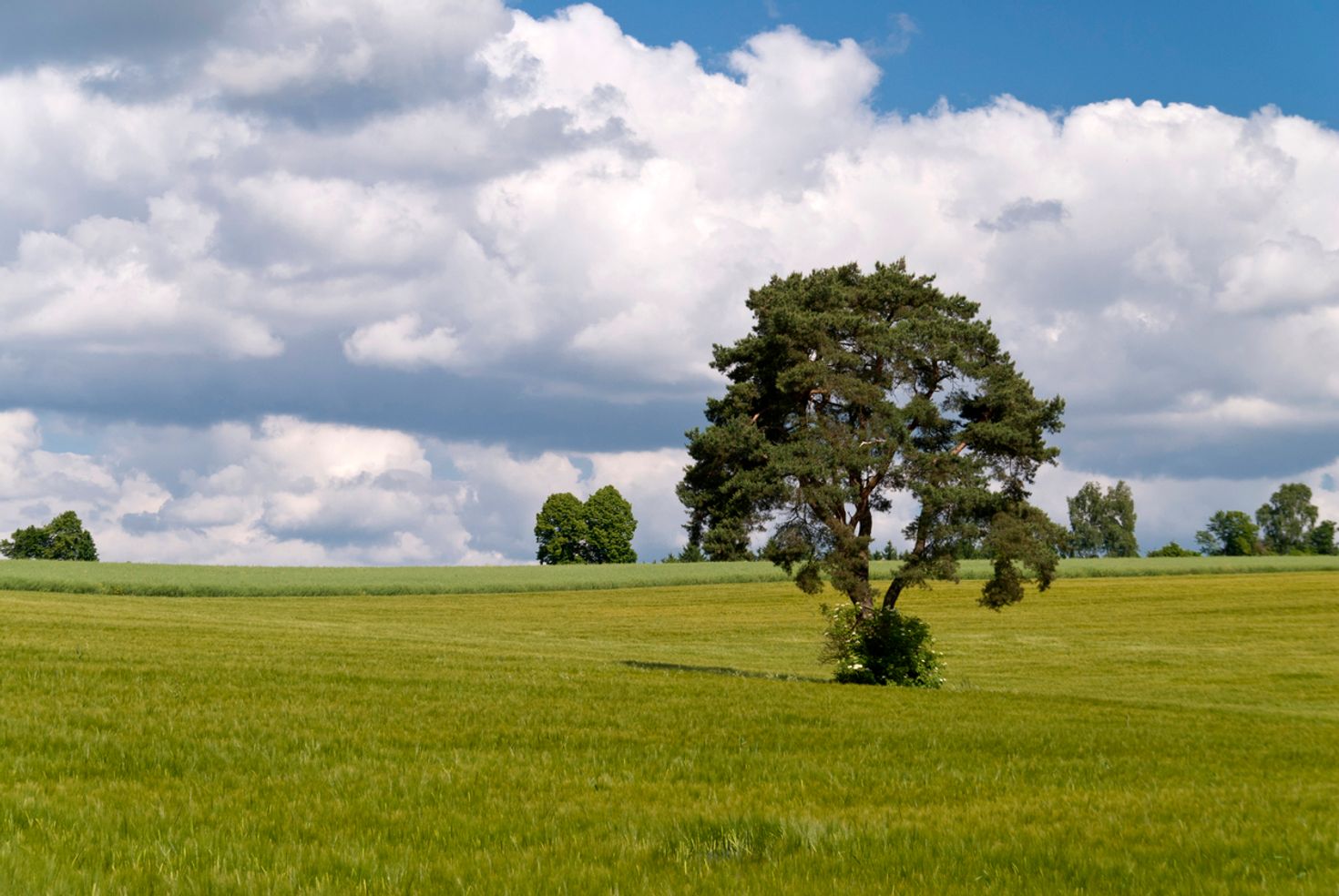 Goldsteig is the longest hiking trail in Germany