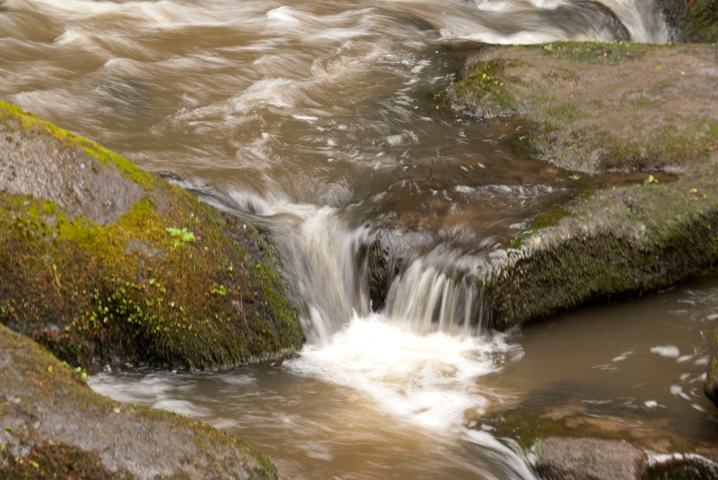 Goldsteig is a naturally diverse hiking trail