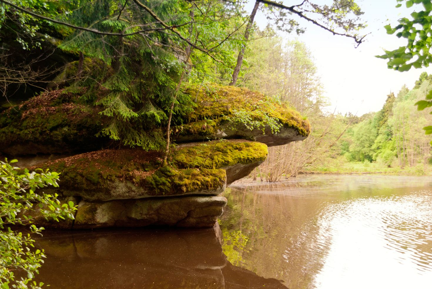 Goldsteig will show you various rivers running in the Bavarian forest