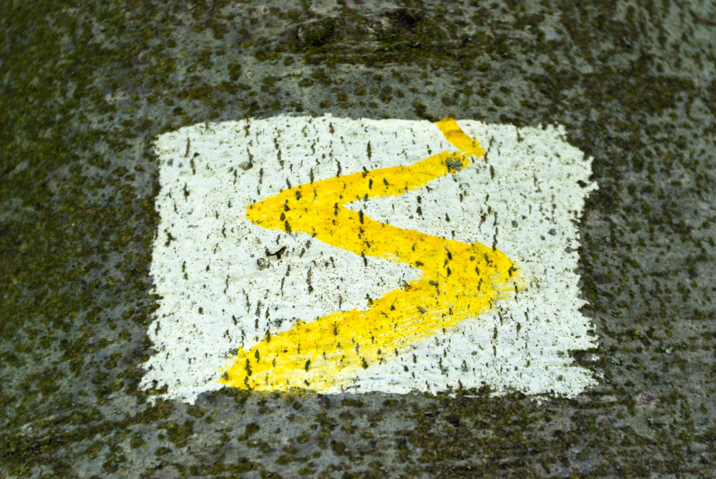 The starting point of Goldsteig is marked with a yellow path-shaped symbol