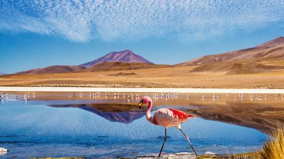 Great Bolivia Itineraries: How Many Days to Spend?