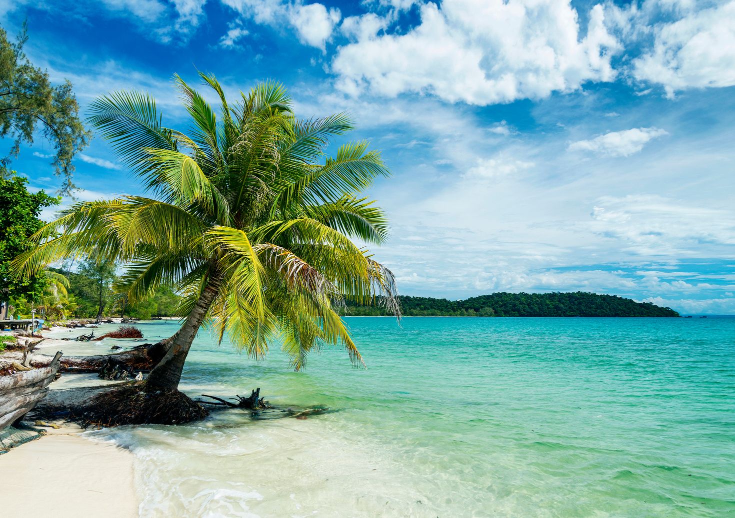 beautiful beaches in koh rang island