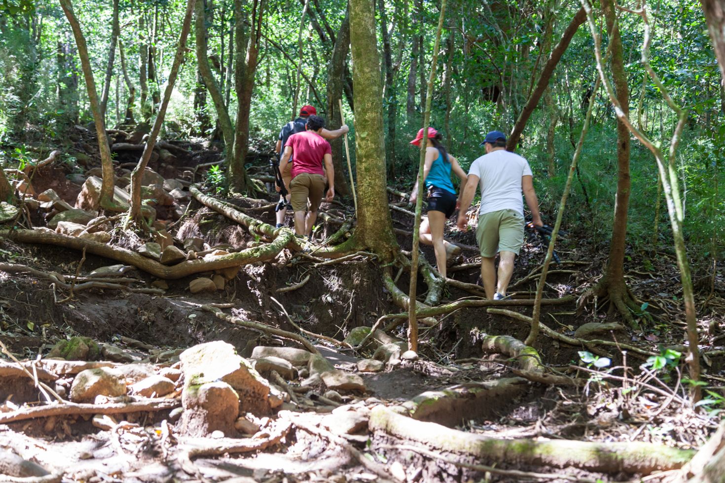 Hiking in Costa Rica's rainforests