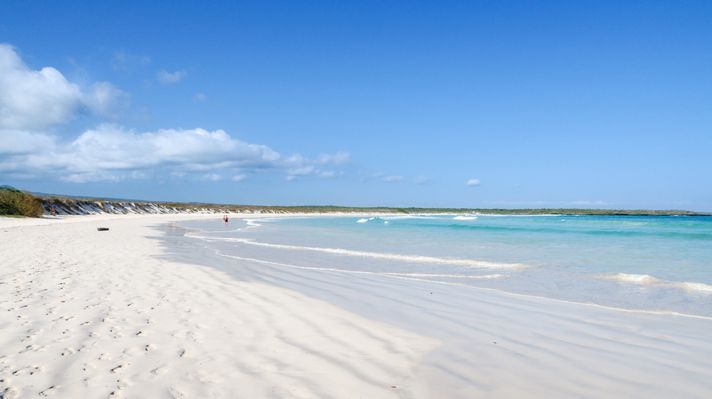 White sand beach at Tortuga Bay, Puerto Ayora, San Cristobal, Galapagos Isl