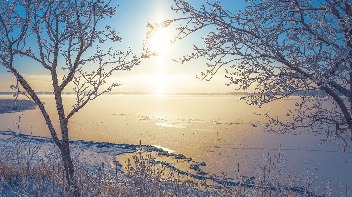 You should include visiting the frozen landscape in Sotkamo in your Finland itinerary.